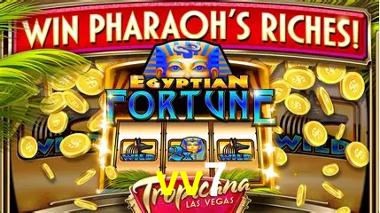 VIP Casino vv7